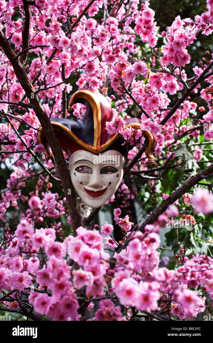 Jester-Maske im Pflaumenbaum Stockfoto