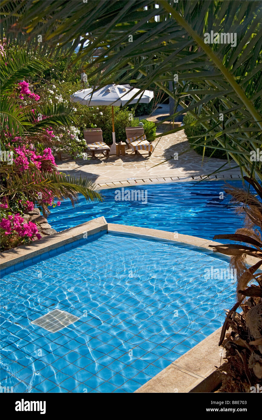 Blick durch Palmen über einen Swimming Pool in Richtung einsame Sonnenliegen Stockfoto