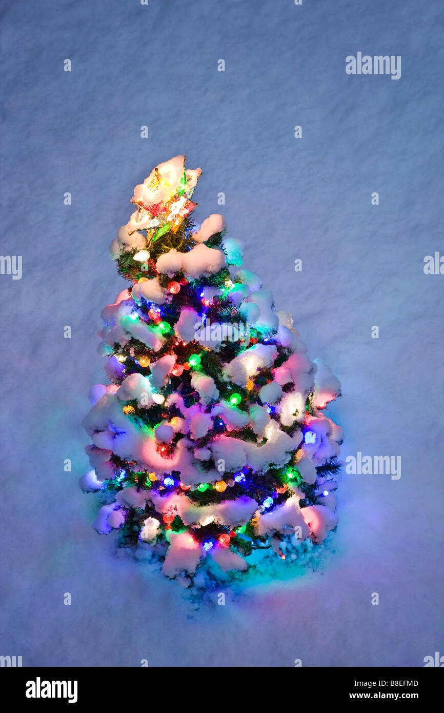 Draufsicht auf einen kleinen beleuchteten Weihnachtsbaum in der Dämmerung im winter Stockfoto