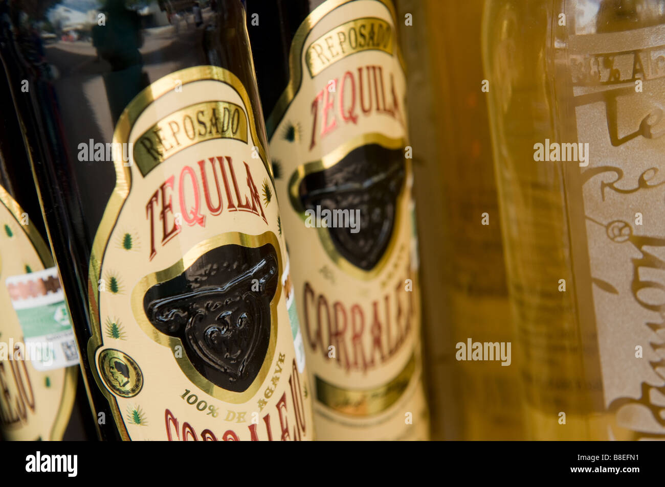 Flaschen Tequila zum Verkauf in Playa del Carmen Mexiko Stockfoto