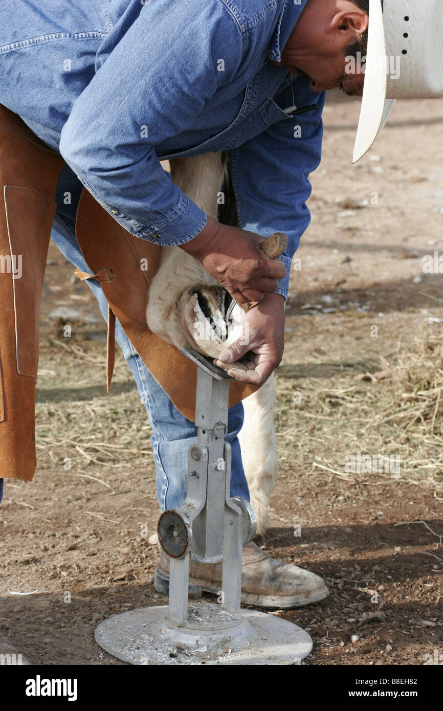 Ein Hufschmied hat einige tiefe Reinigung auf ein Pferd HUF vor dem Austausch des Hufeisens Stockfoto