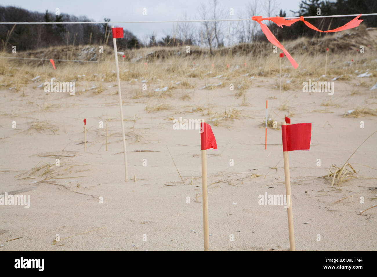 Forscher untersuchen Bewegung von Sanddünen Stockfoto