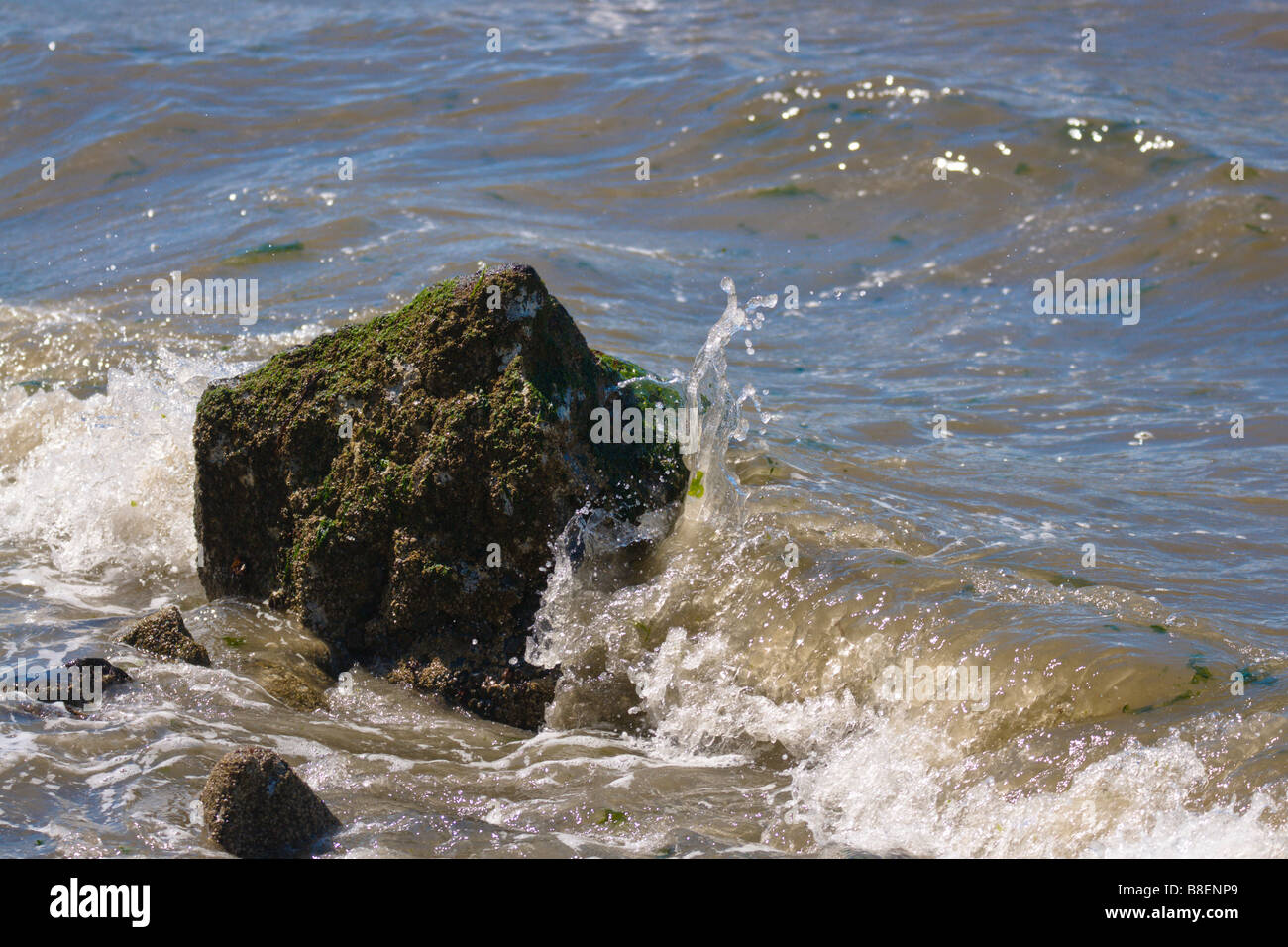 eine sehr kleine Welle bricht gegen einen Felsen am Puget Sound im Süden von Seattle Stockfoto