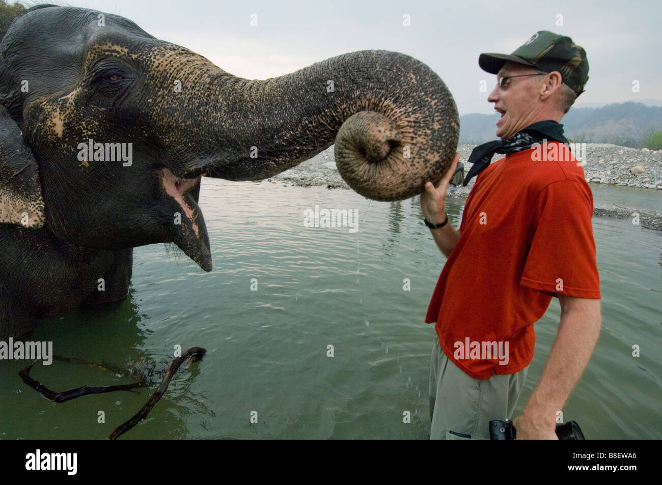 Touristen mit arbeiten Elefanten, Corbett-Nationalpark, Indien Stockfoto