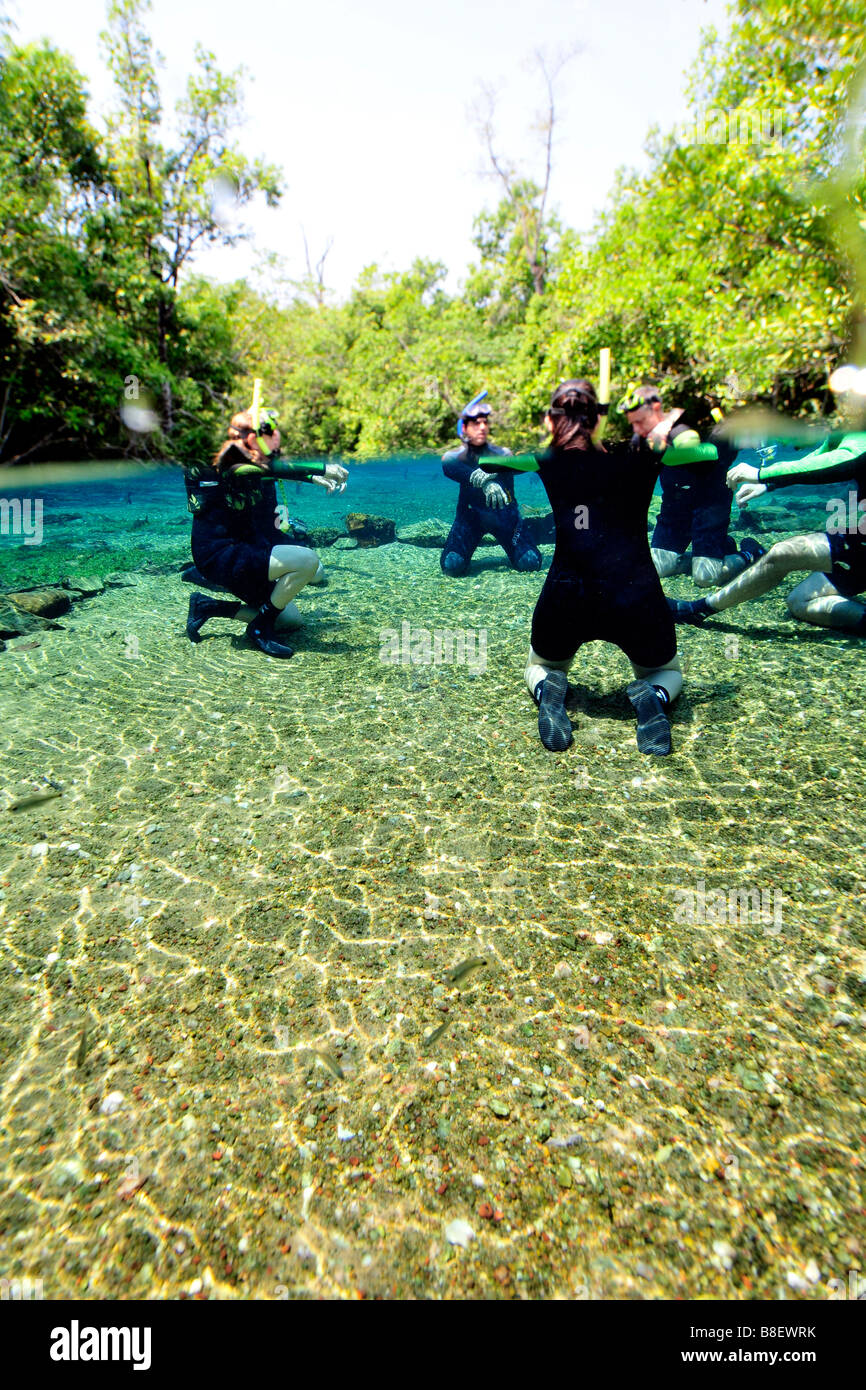 Taucher bereiten sich Rio da Prata ökologische zu bewahren, Bonito, Mato Grosso Do Sul, Brasilien zu schweben Stockfoto
