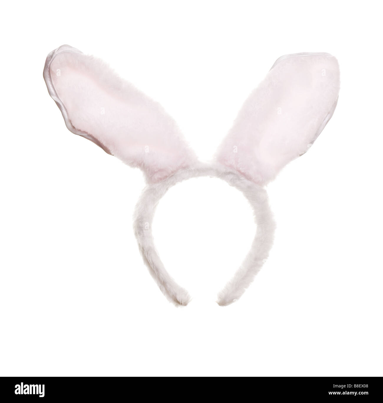 Easter Bunny Ohren isoliert auf weißem Hintergrund Stockfoto