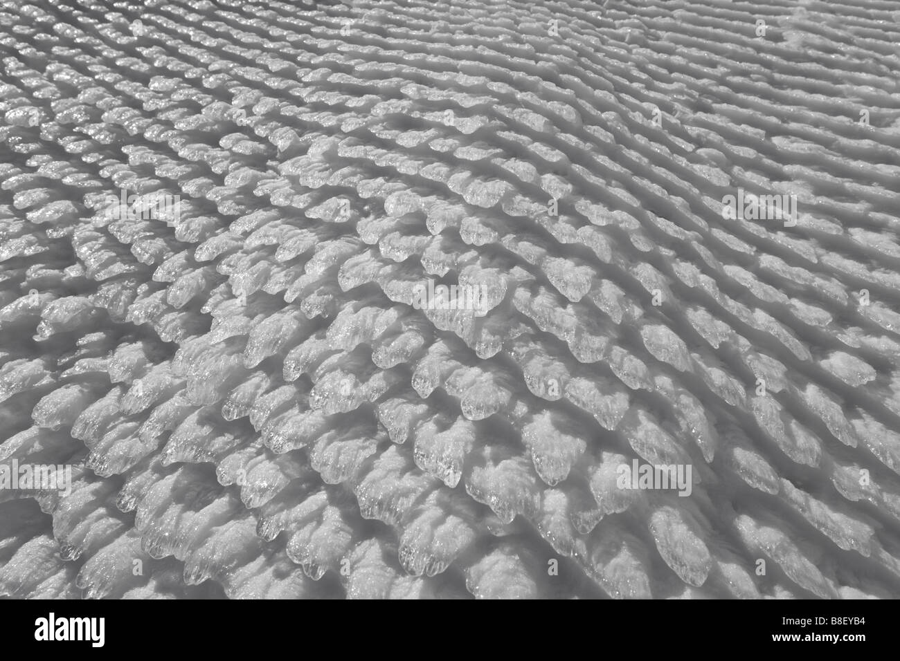 Natürlich eis Skalen erfasst auf ein Drahtgeflecht (Puy-de-Dôme, Frankreich). (Nebel freeze Hart rime Eisnebel Windward rime Eis Eisbildung Eis Glasur) Stockfoto