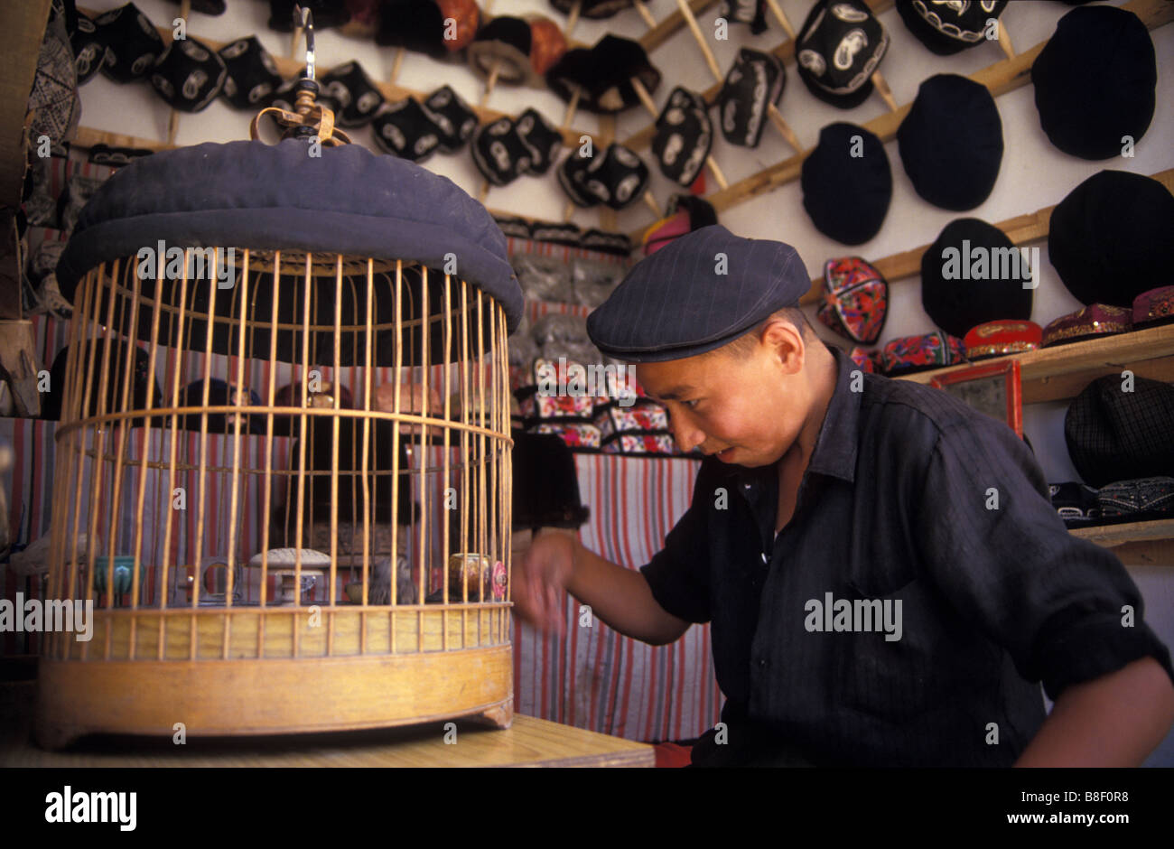 Vogelkäfig Uighur Hut Verkäufer und stall Kashgar Xinjiang China Stockfoto