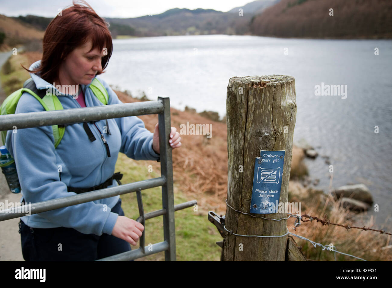 Frau Schließen des Gatters adhearing zu unterzeichnen und Land Code, der auf dem Zaunpfahl im ländlichen Wales, Großbritannien Stockfoto