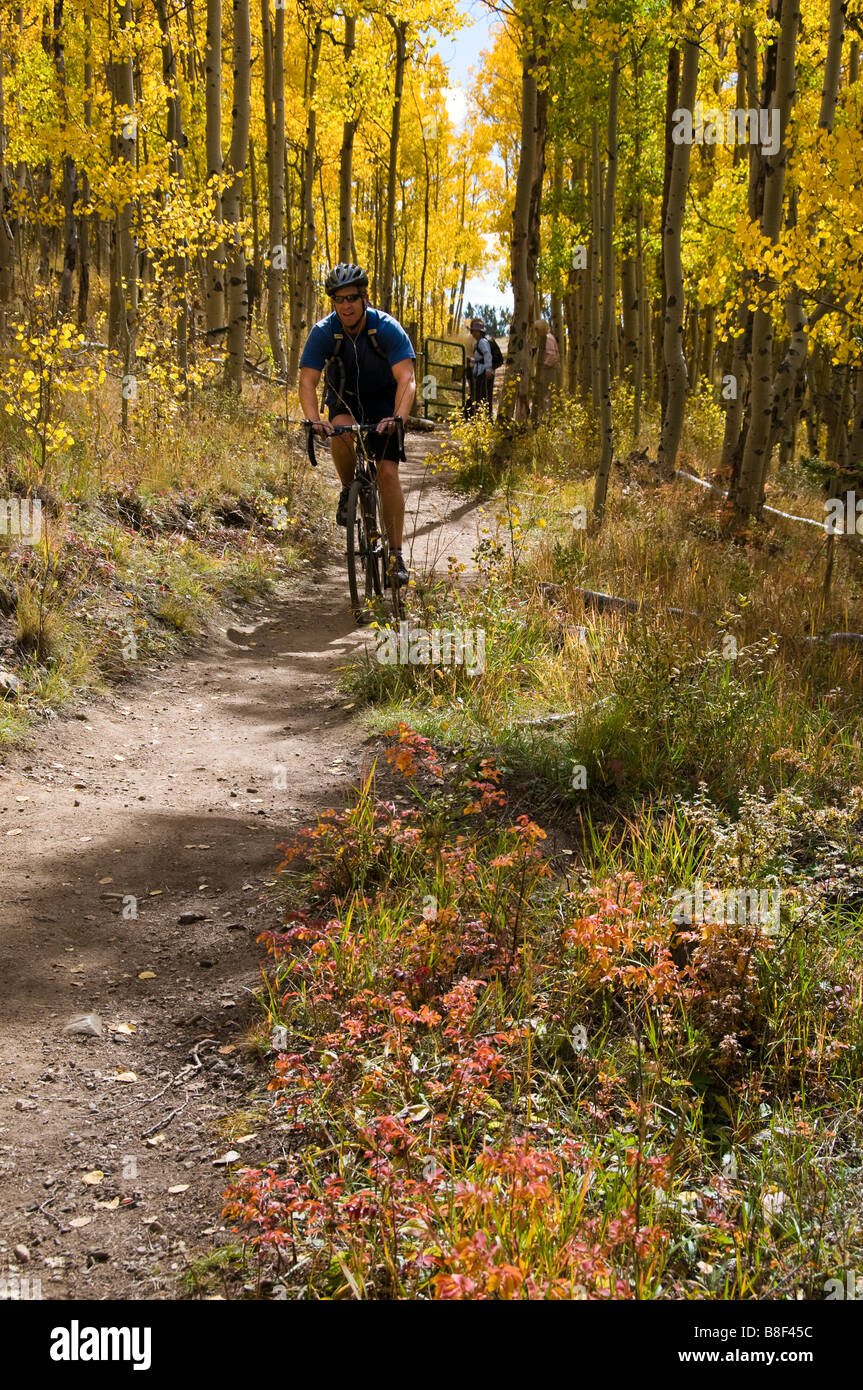Colorado Trail und Espe Bäume Anzeigen Laub Herbstfarben, Kenosha Pass, U.S. Highway 285, Park County, Colorado. Stockfoto