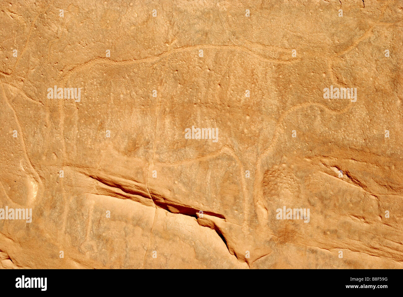 Felsgravuren im Tassili Maghidet (Maghridet oder Libyc Tassili) Stockfoto