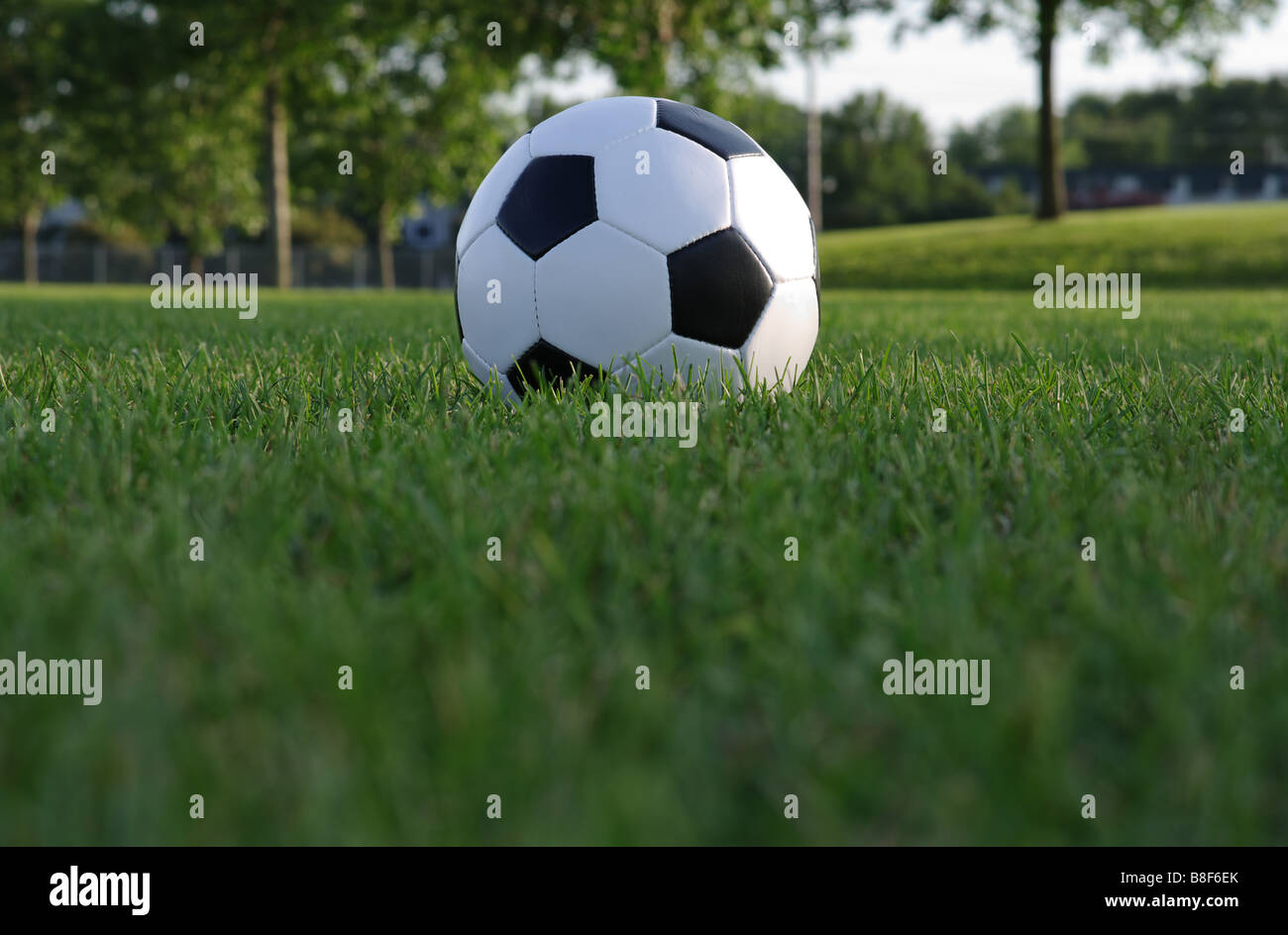 Fußball auf dem Feld Stockfoto