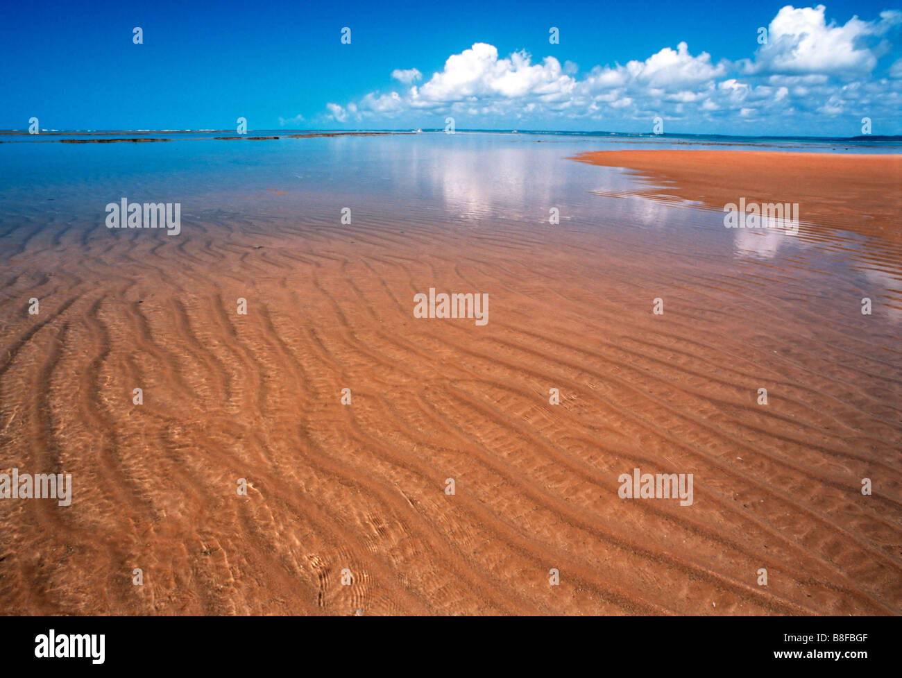 Rippelmarken im Wasser Stockfoto