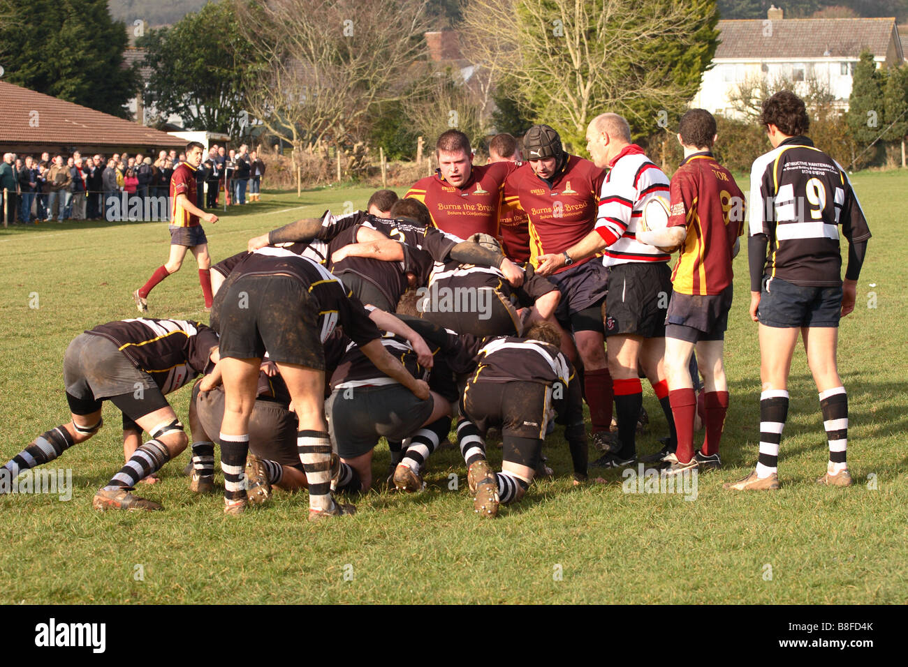 Amateur Rugby Match Schiedsrichter hilft eingerichtet, die Spieler für eine Scrum-Spielset Stockfoto