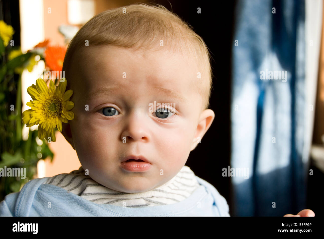 Enge bis der Kopf des Baby Boy ziehen Distressed Gesicht mit einer gelben  Blume versteckt hinter dem Ohr Stockfotografie - Alamy