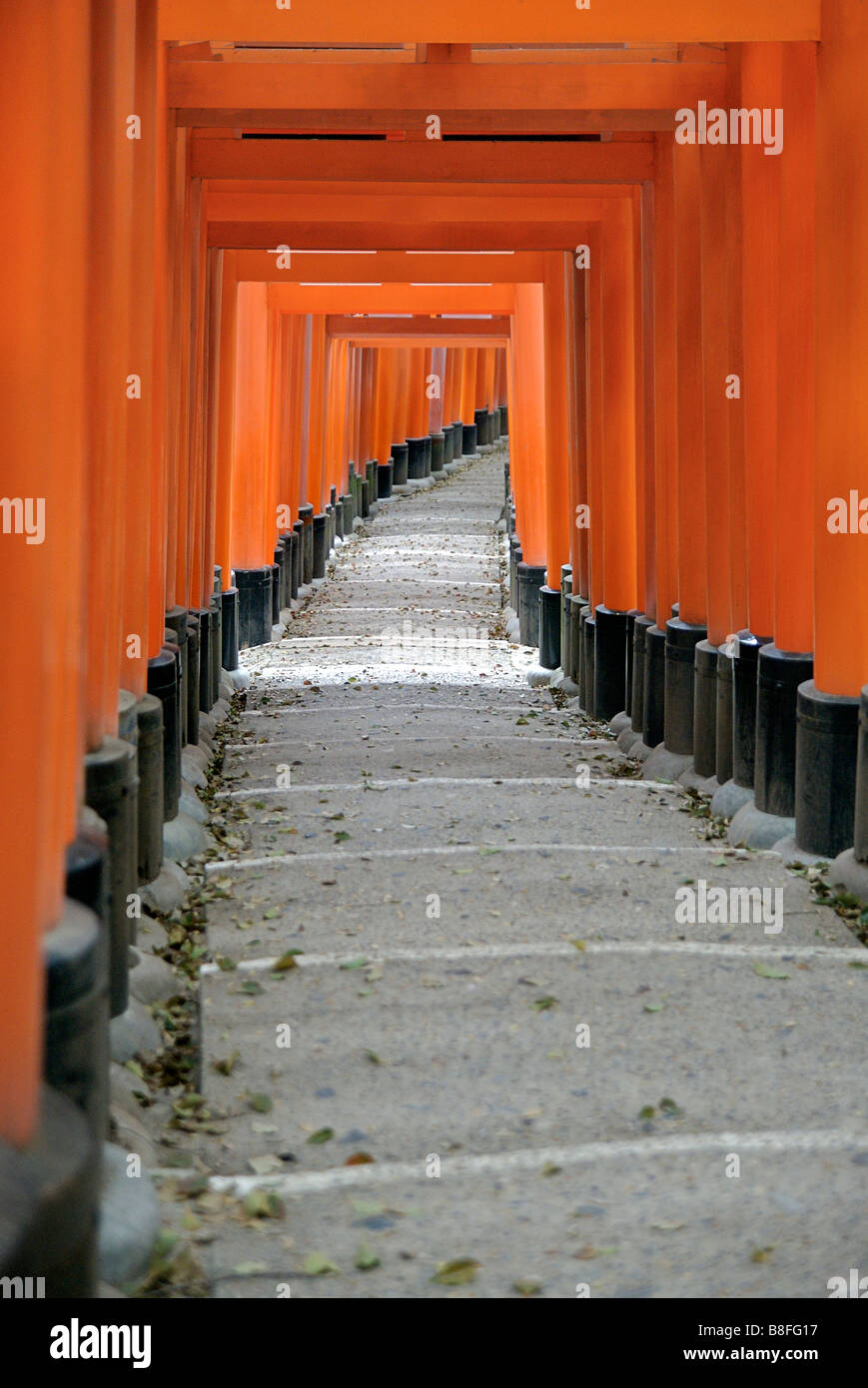 Orange lackiert Torii-Tore im Fushimi Inari-Taisha-Schrein in Kyoto, Japan. Stockfoto