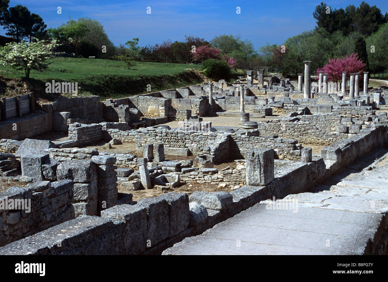 Senken Sie Stadt Glanum mit Marktplatz & römischen Häuser, Roman bleibt, Saint-Rémy-de-Provence, Alpilles, Frankreich Stockfoto