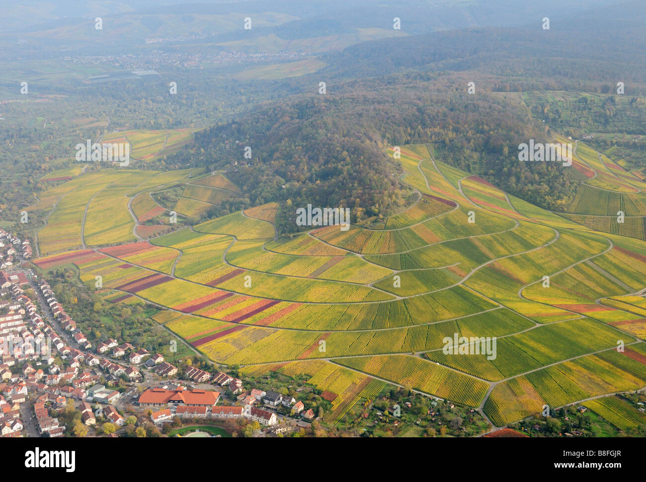 Luftaufnahme der Weinberge in der Nähe von Stuttgart, Baden-Württemberg, Deutschland Stockfoto