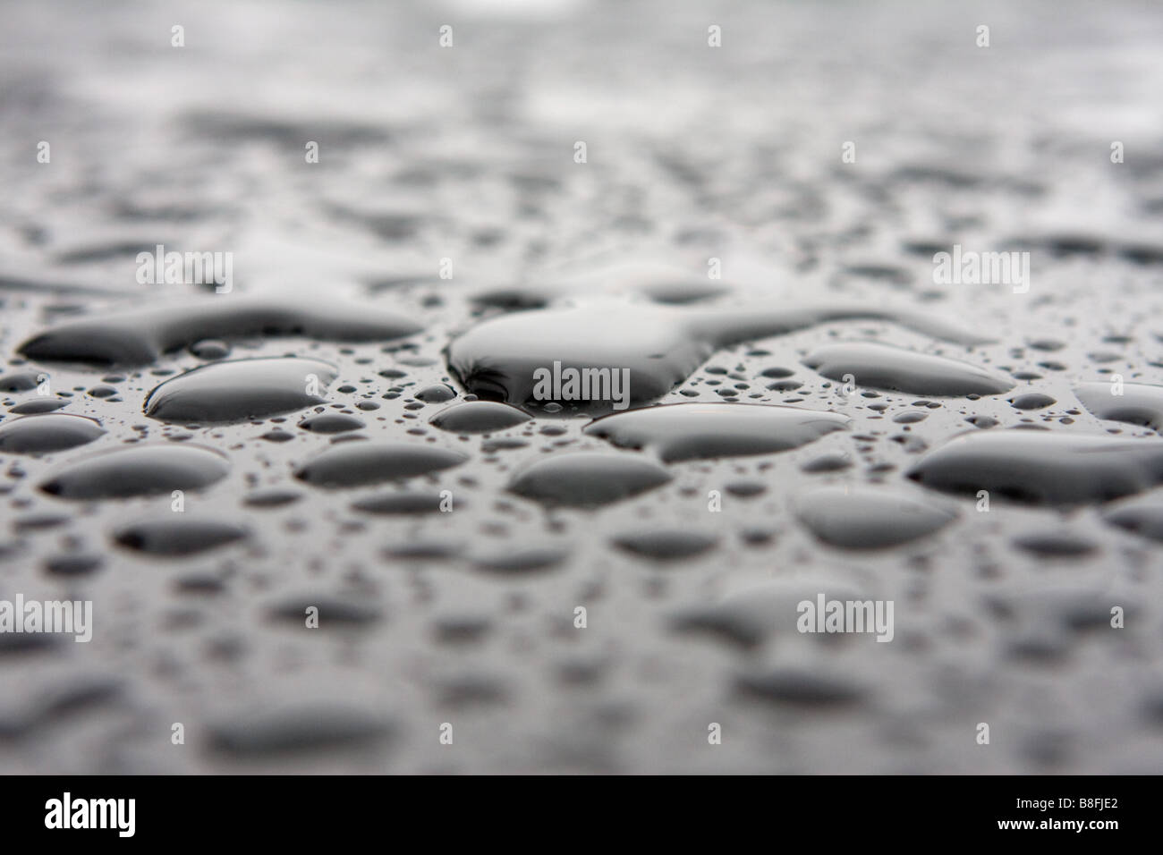 Wassertröpfchen bei Regen Sturm Stockfoto