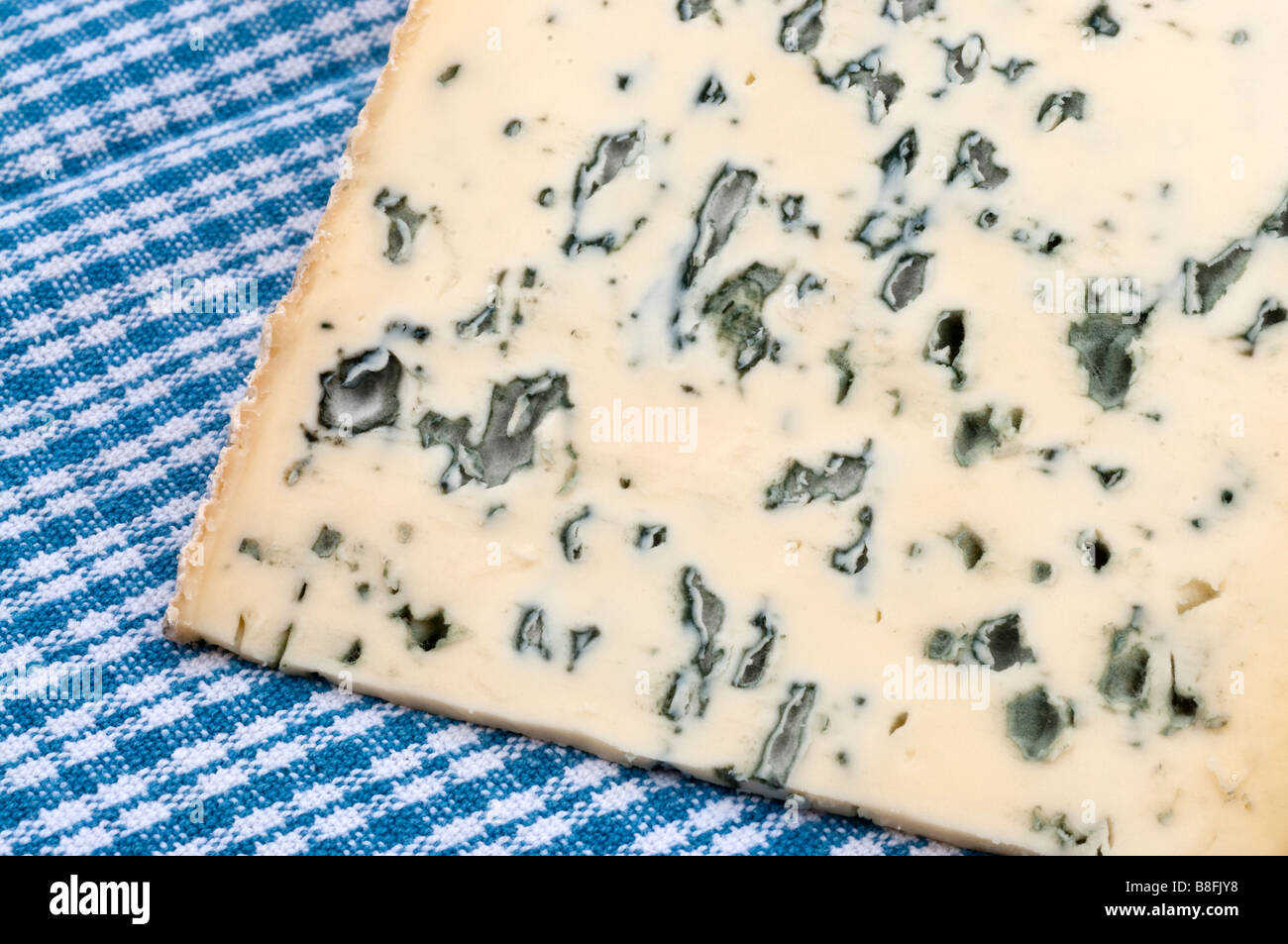 'Bleu d ' Auvergne AOC Rocabret' / Auvergne Blue Käse - Frankreich. Stockfoto