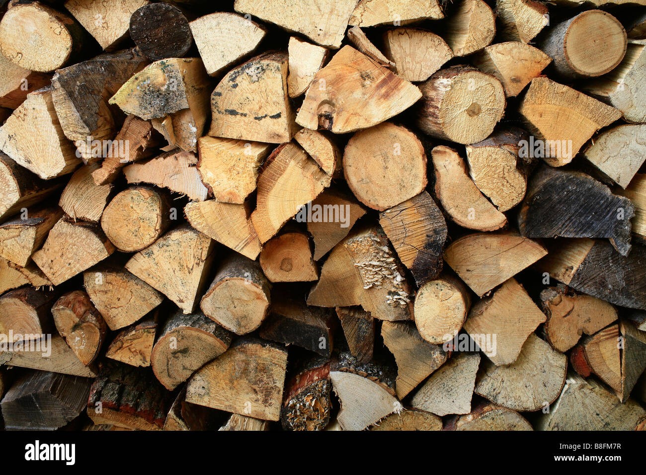 Ein Blick aus einem Stapel von Brennholz Stockfoto