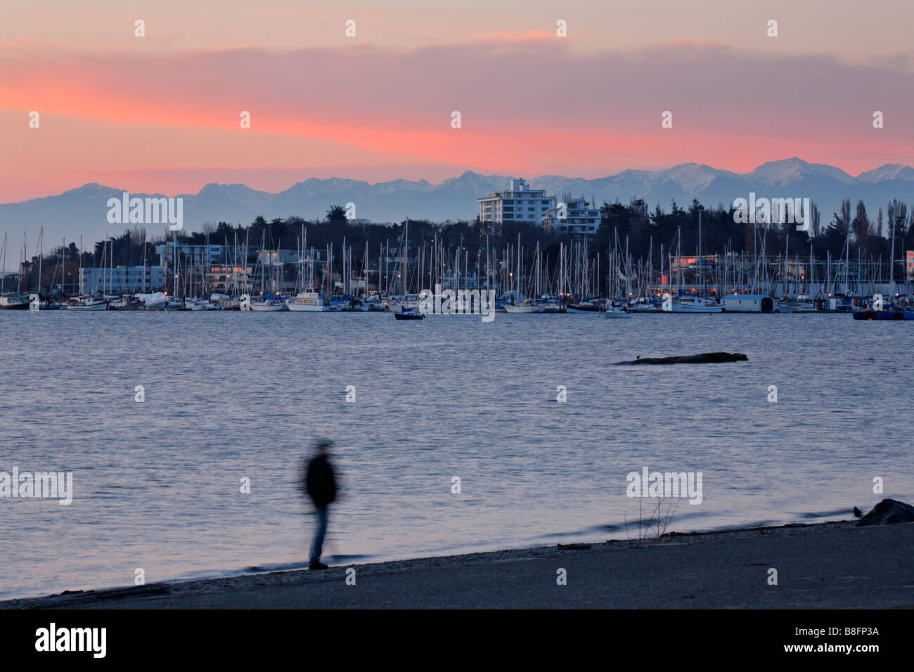 Walker und Oak Bay Marina in der Morgendämmerung Victoria British Columbia Kanada Stockfoto