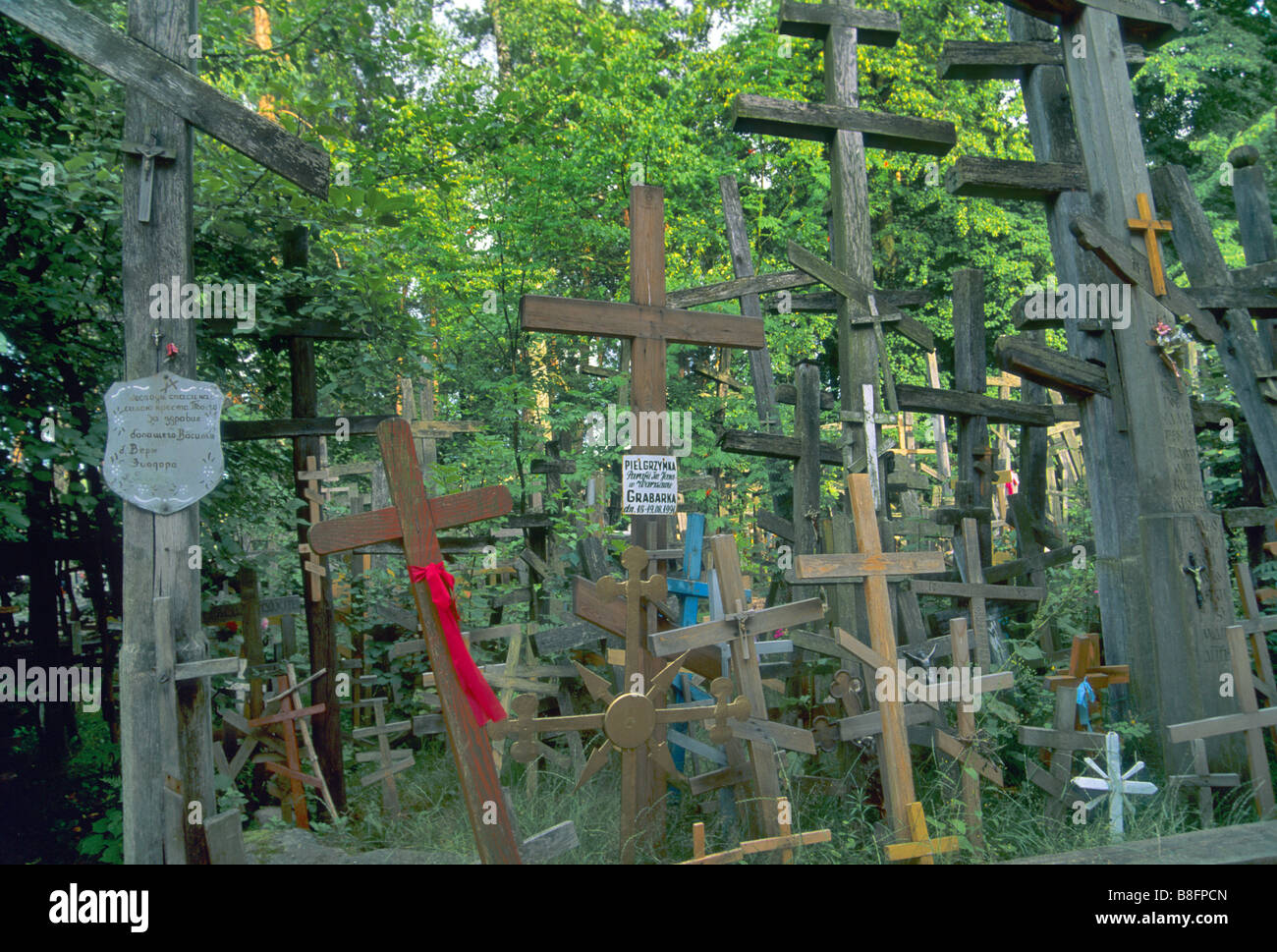 Kreuze mit Zeichen in Weißrussisch und Polnisch platziert von Pilgern am orthodoxen Heiligen Berg Grabarka, Region Podlasie, Polen Stockfoto