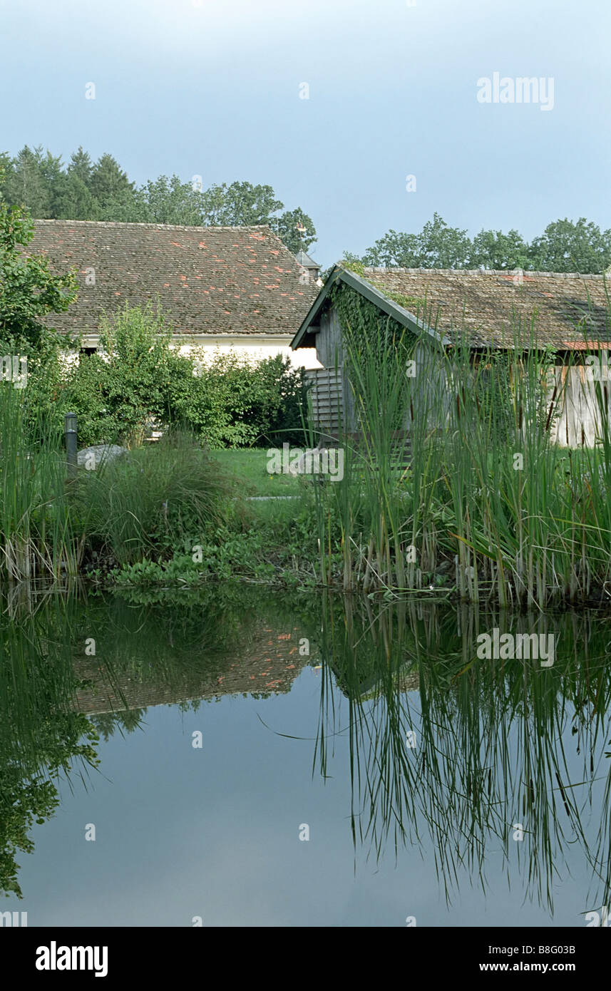 Holzhütten hinter einem Teich - Ufer - Natur Stockfoto