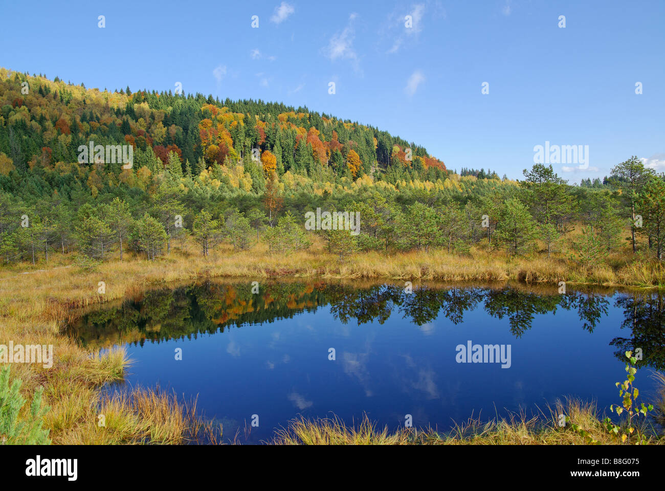 See in Mohos Moor, Rumänien Stockfoto