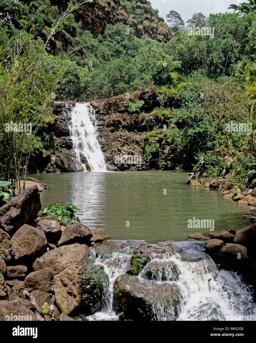 2145 Waimea Falls Park Oahu Hawaii USA Stockfoto