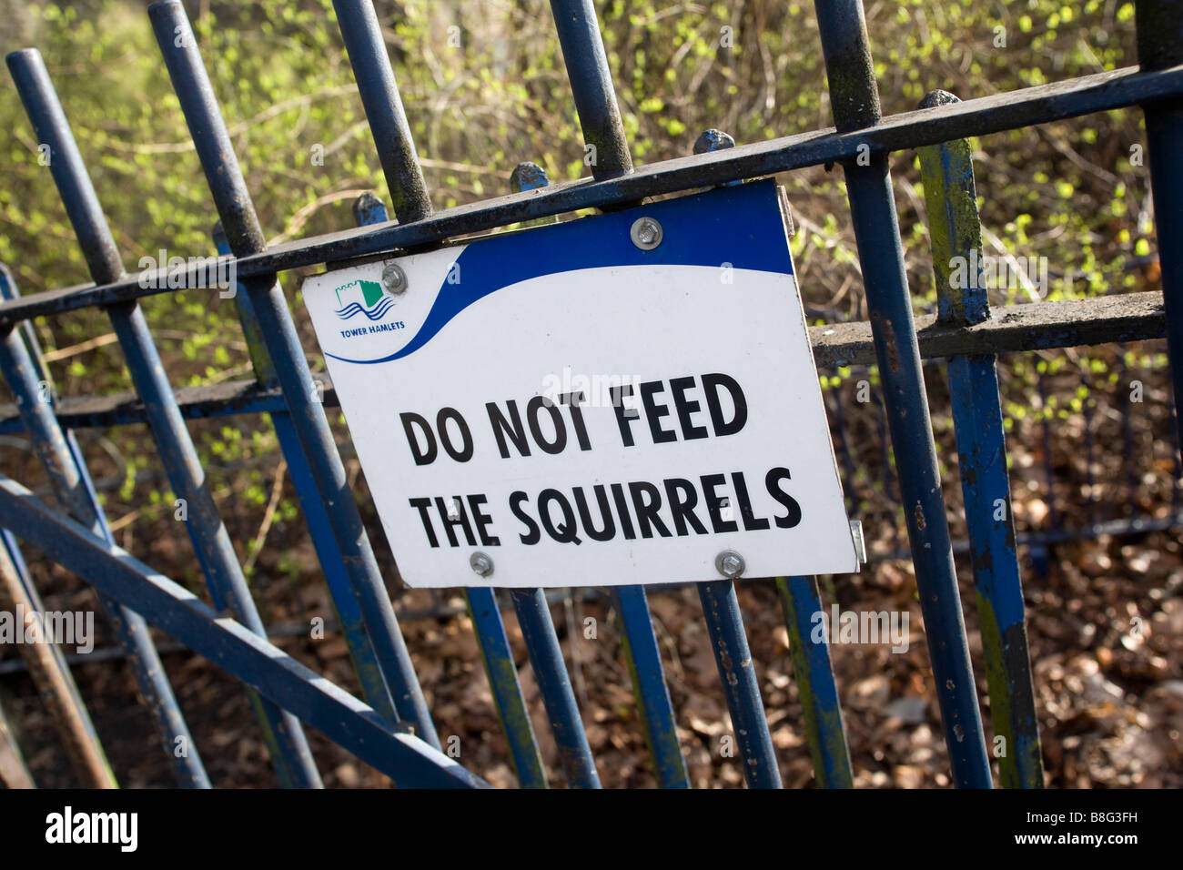 Nicht die Eichhörnchen füttern Zeichen gebunden an Zaun Stockfoto