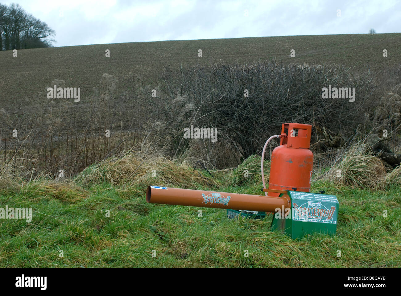 Scatterbird Vogel Nageltiereverscheucher Gas Waffe wie von englische Landwirte verwendet, um Vögel von ihrer Ernte-Feldern fernzuhalten Stockfoto