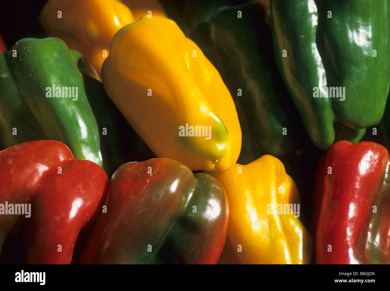 Elk180 1050-Italien-Sizilien-Valermo-Vucchiria-Markt-Paprika Stockfoto