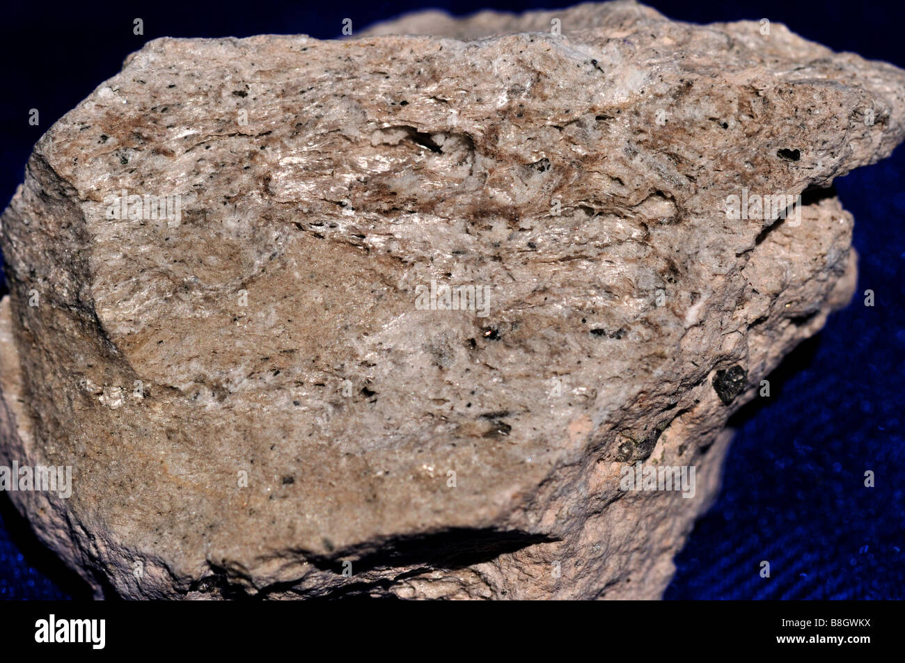 Bimsstein, ein vulkanisches Gestein. Stockfoto