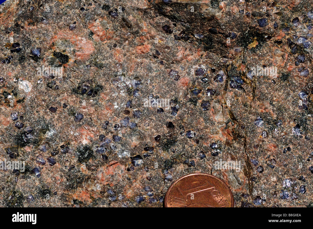 Granit mit milchig blaue Quarz, rosa Feldspat und Biotit. Stockfoto