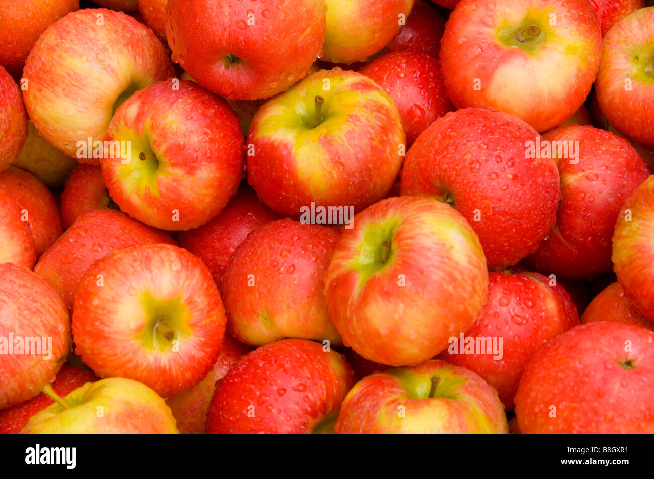 Körbe von roten Äpfeln zum Verkauf an Alyce und Rogers Obststand in Mount Tremper New York USA Stockfoto