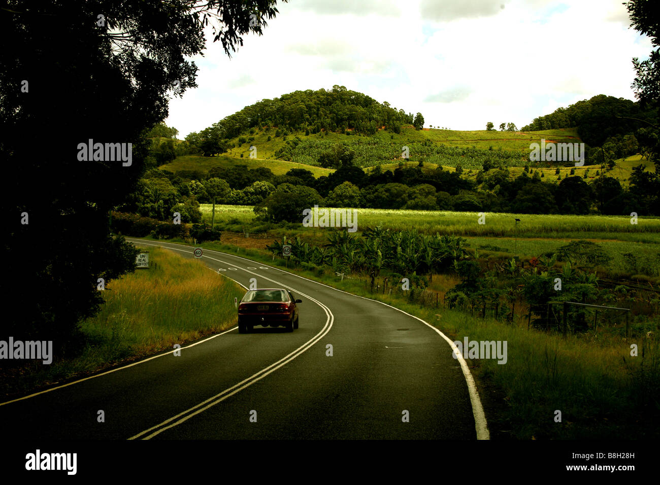 Der Weg zum Murwillimbah Northern NSW Australia Stockfoto