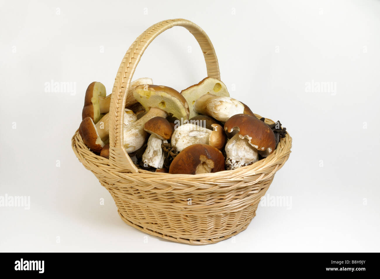 Korb voller Pilze, Studio Bild Stockfoto