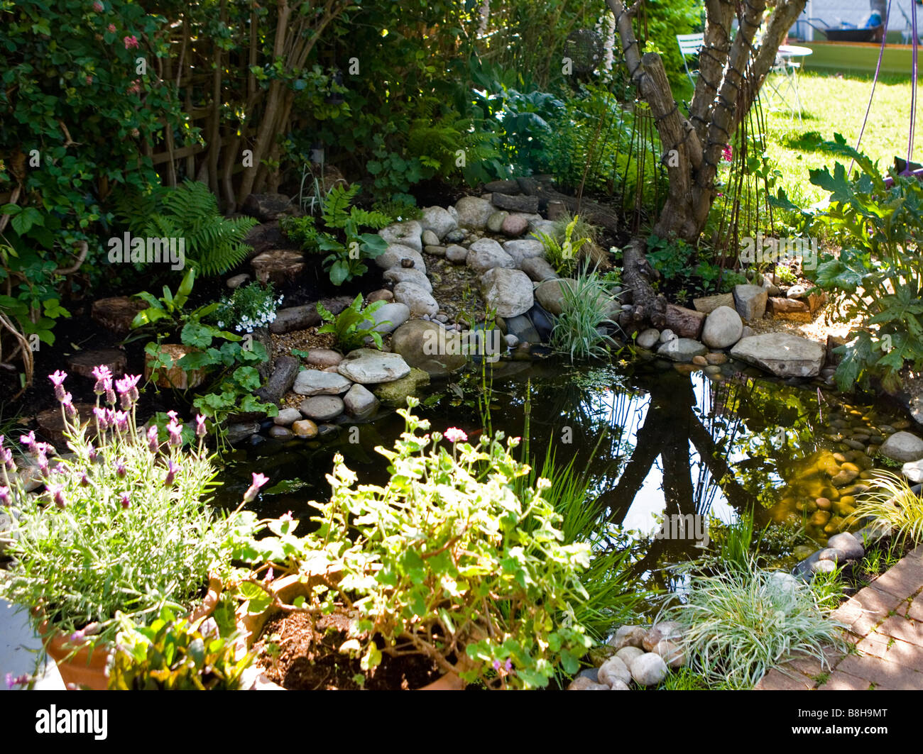 Tierwelt-Gartenteich Stockfoto