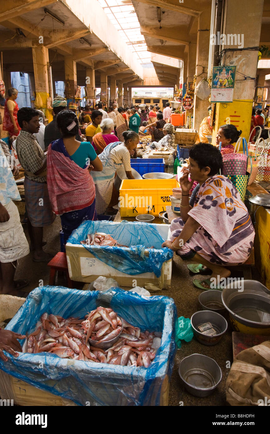 Hauptmarkt in Indien Pondicherry Ständen frische lokal gefangenem Fisch Stockfoto