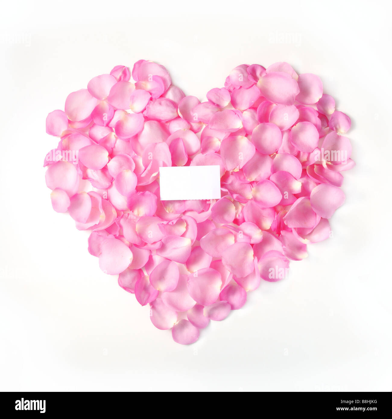 Rosa rose Blumenblätter bilden ein Herz mit leeren Karte - isoliert Stockfoto