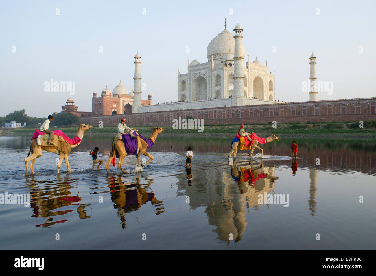 Kamele über Yamuna River mit Taj Mahal im Hintergrund, Agra, Indien Stockfoto