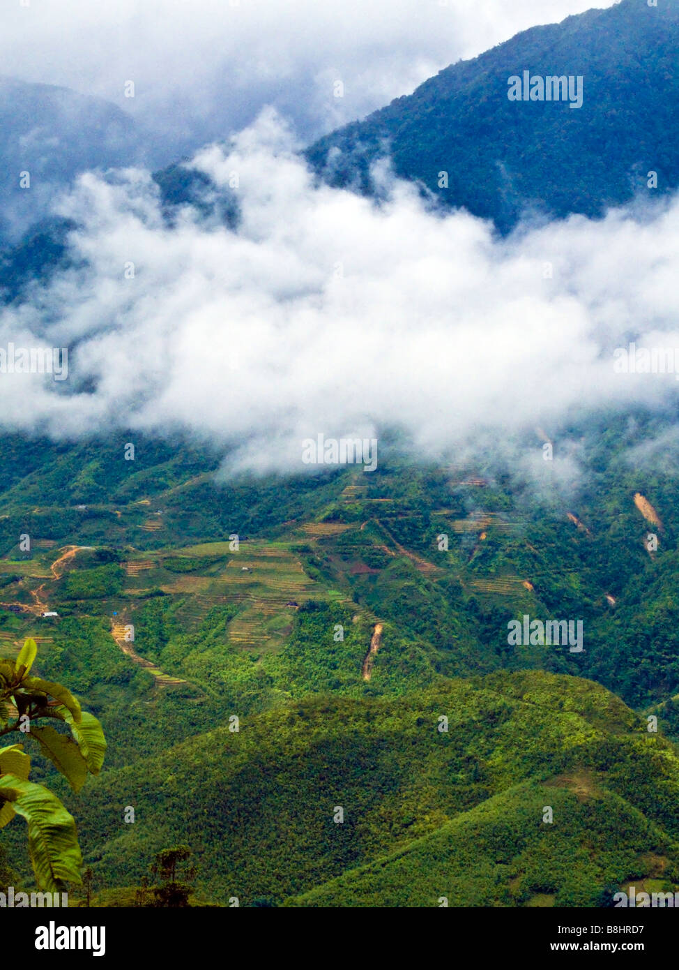 Blick auf niedrige Wolken über Lao Chai Tal Sapa Vietnam JPH0182 Stockfoto