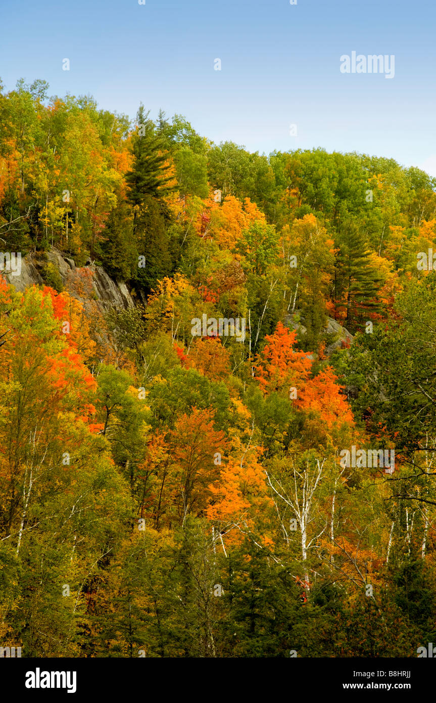 Die Adirondack Berge in Flammen in Herbstfarben Farbe in New York State USA Stockfoto