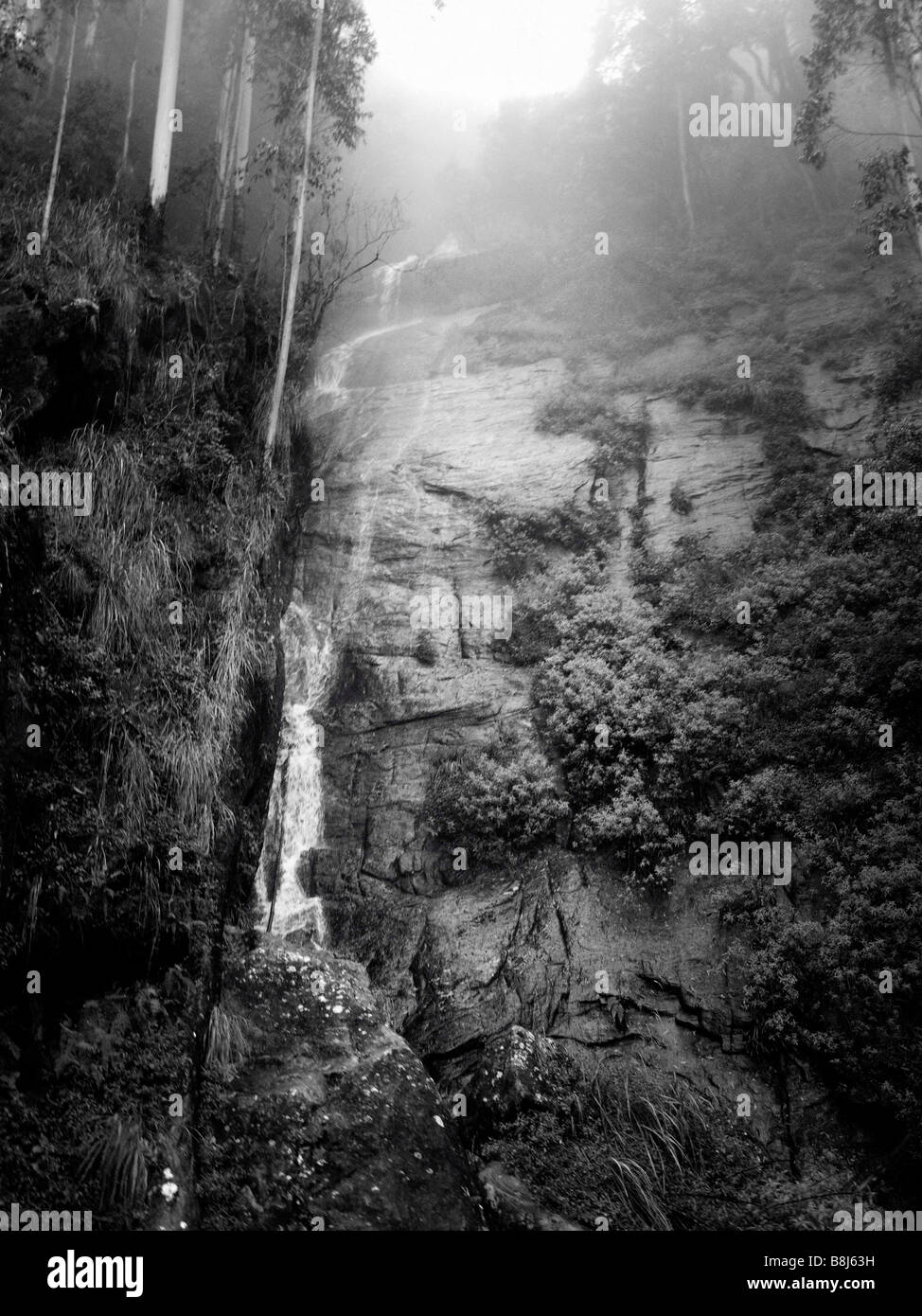 Wasserfall über die Felsen unter Bäumen Eukalyptus im Nebel. Sri Lanka Stockfoto