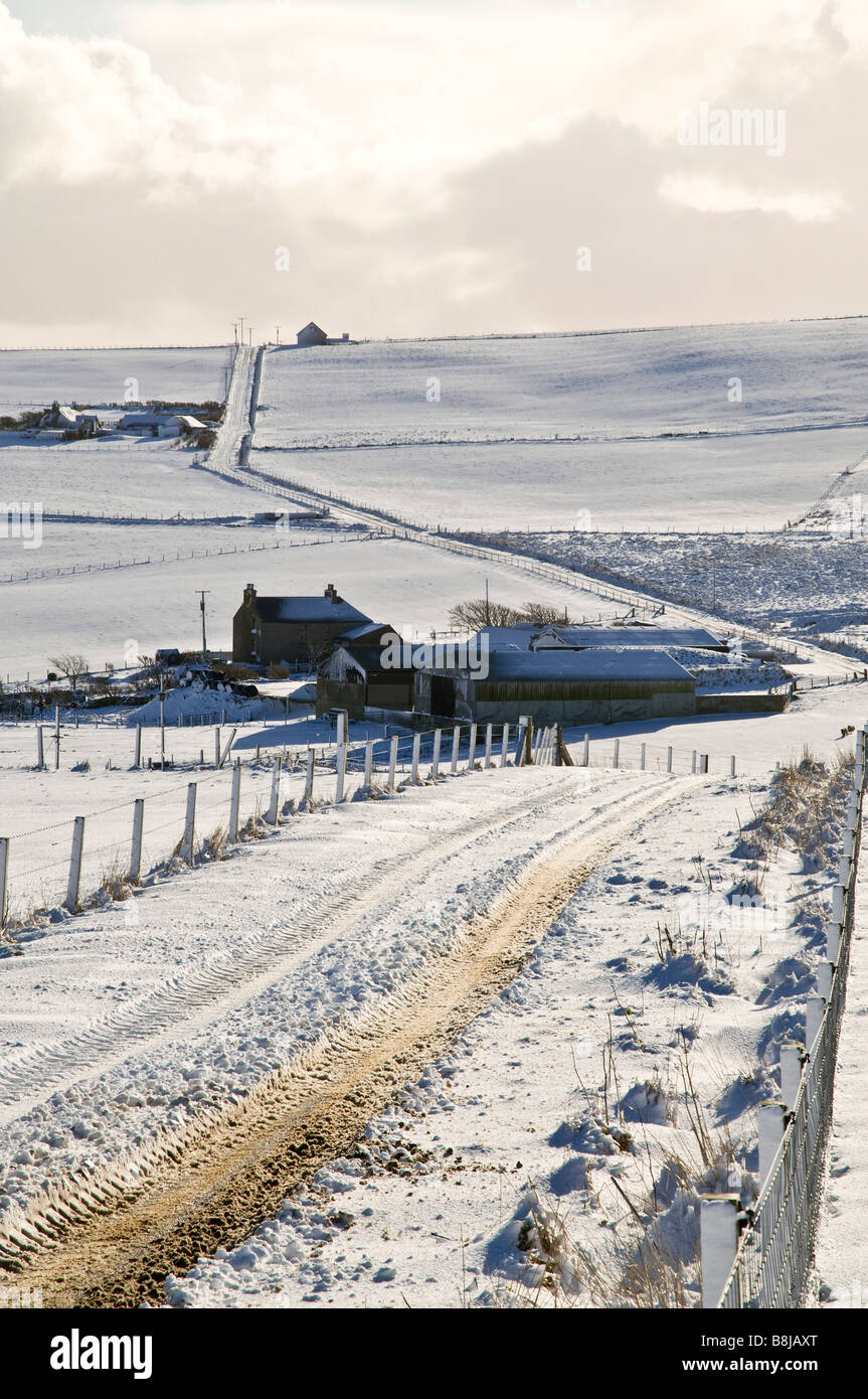 dh ROADS UK eisige verschneite Straße Schneefelder Bauernhäuser Orkney Farm House Farming Lane schottland Winter Stockfoto