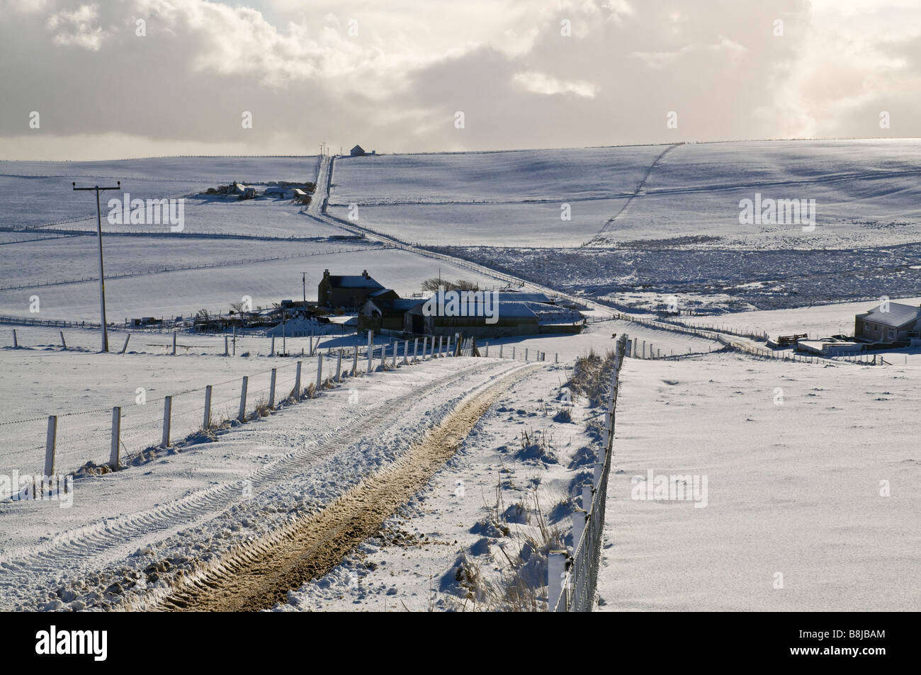 dh ROADS UK eisige verschneite Straße Schneefelder Bauernhäuser Orkney Winterfeld britische Landschaft schottland Farmszene Stockfoto