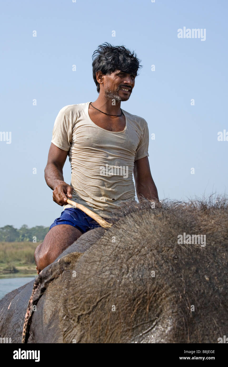 Lokale Trainer auf Elefanten im Fluss Rapti Rapoti im Royal Chitwan Nationalpark Nepal Stockfoto