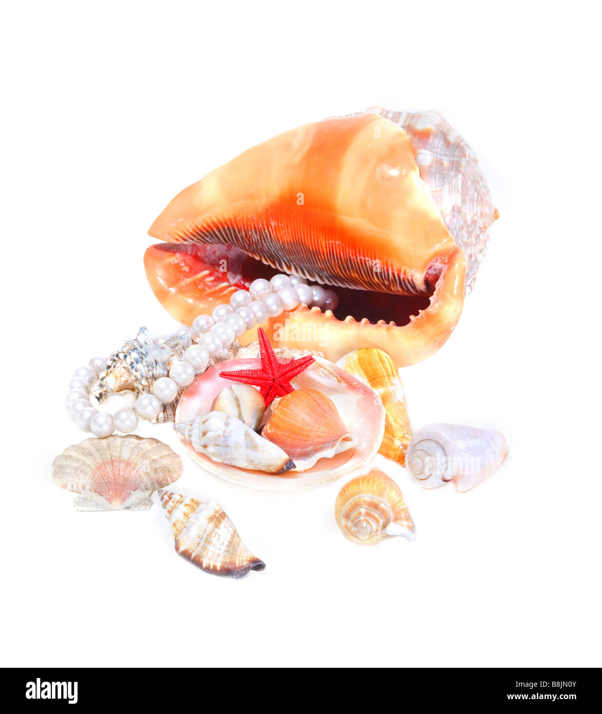 Schöne isolierte Komposition von Muscheln mit Perlenkette Stockfoto