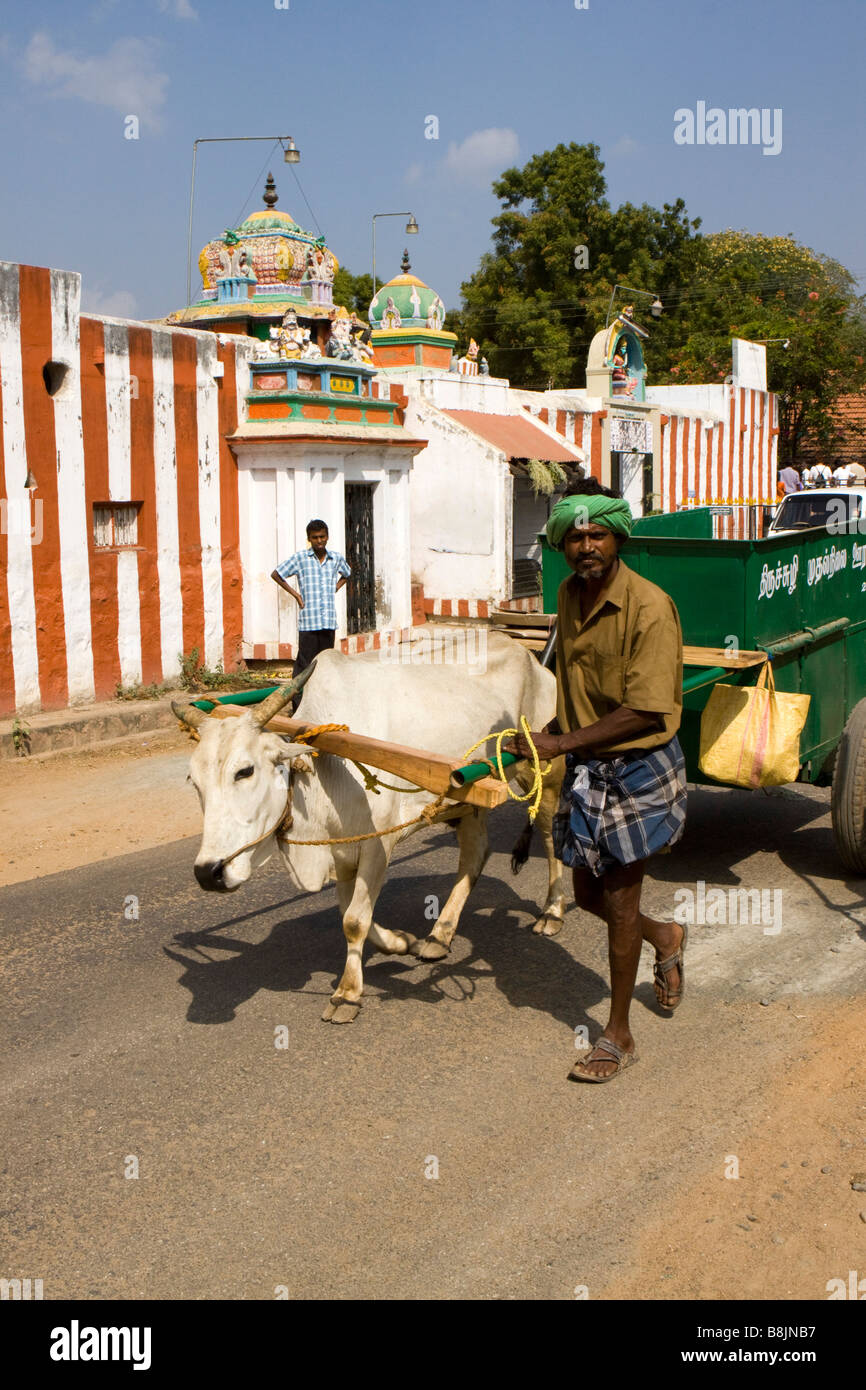 Indien Tamil Nadu Madurai Thiruchuli Dorf lokale verweigern Kollektion Warenkorb Stockfoto